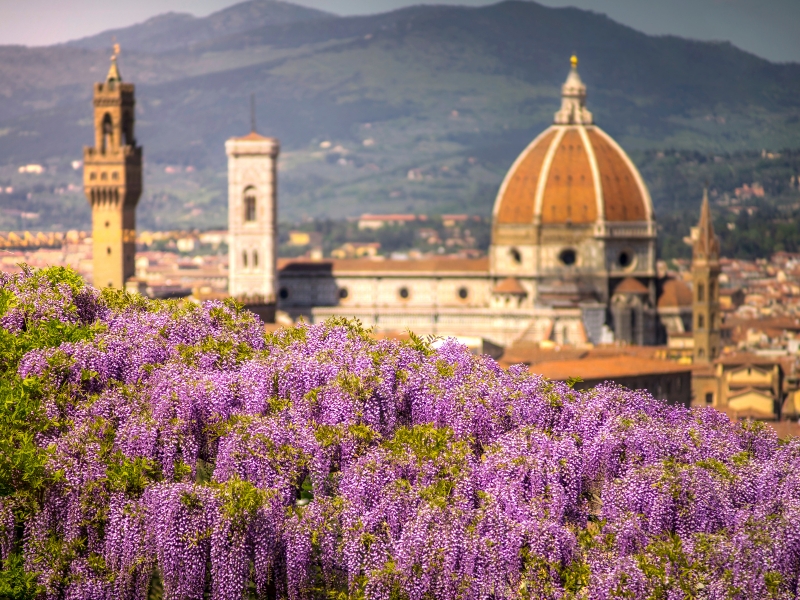 Day Trip from Rome to Florence